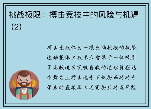 挑战极限：搏击竞技中的风险与机遇 (2)